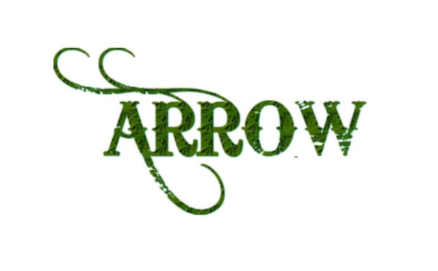Arrow アロー シーズン1第3話ネタバレ デッドショットvsアロー フェリシティも仲間入り Dramas Note